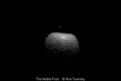 Open_Ann-Townley_The-Noble-Fruit_9.5